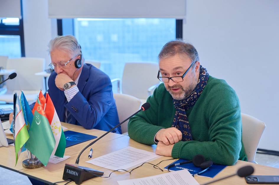 Central Asia advances unified power market with $3.2 mn CAWEP grant